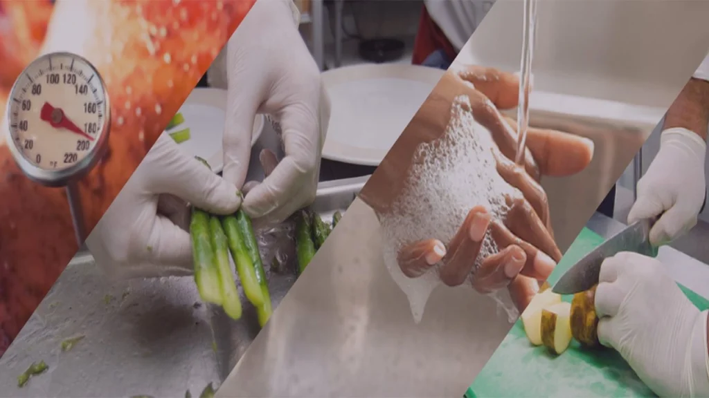 Hijyen Belgesi Fiyatları